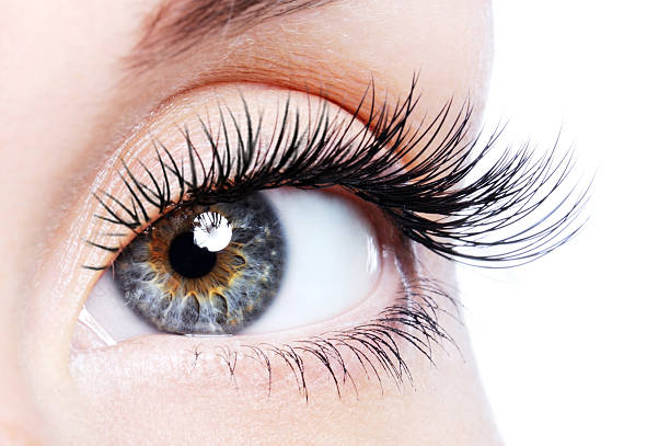 How to Choose the Best Lash Artist in NJ for YOU!