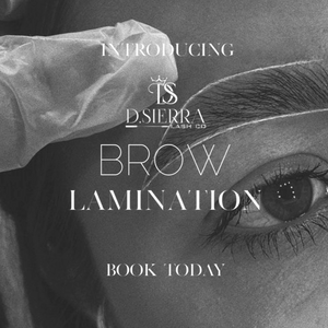 Eyebrow Lamination